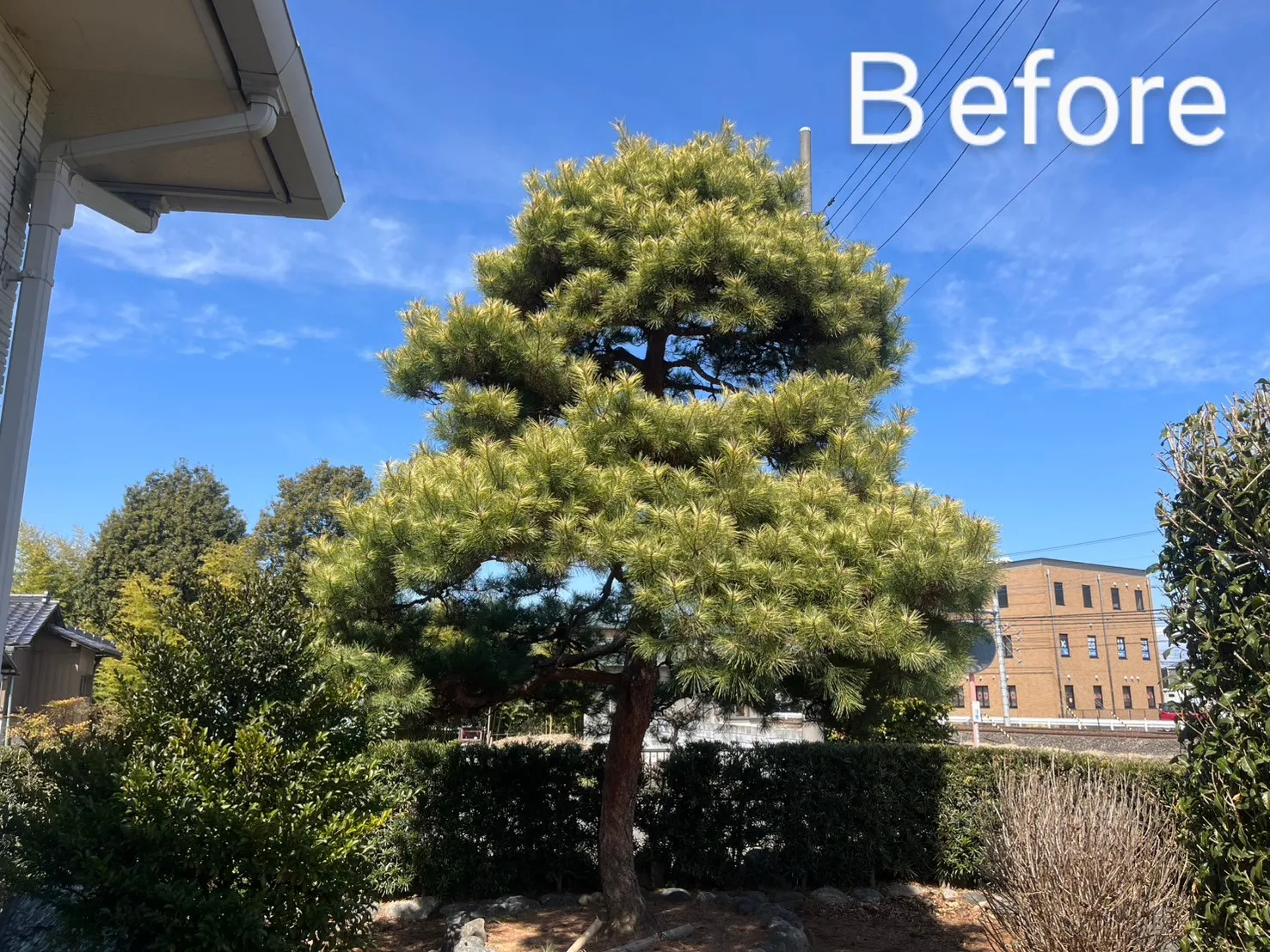 🏡埼玉県鴻巣市N様邸