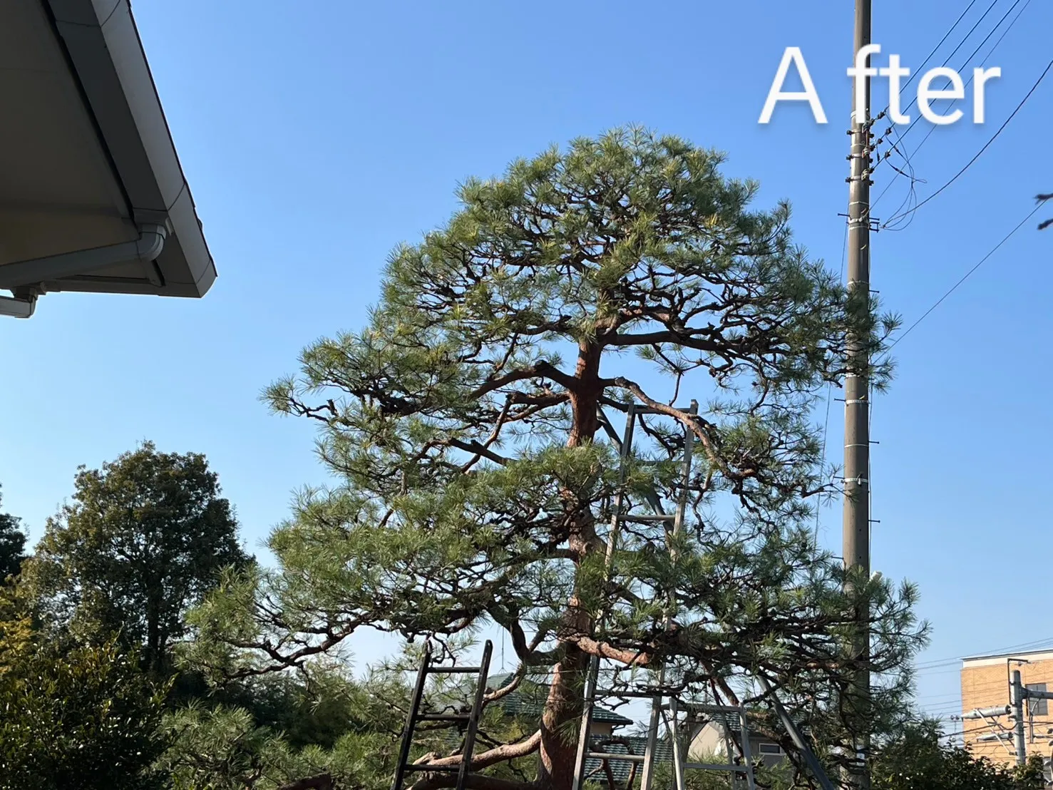 🏡埼玉県鴻巣市N様邸